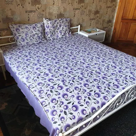Homestay In On Panteleimonivs'ka Street